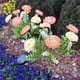 thumbnail image 5 of Advancent 2 luces solares decorativas ABS para exteriores, para jardín, con flores solares Decoración del hogar B, 5 of 6