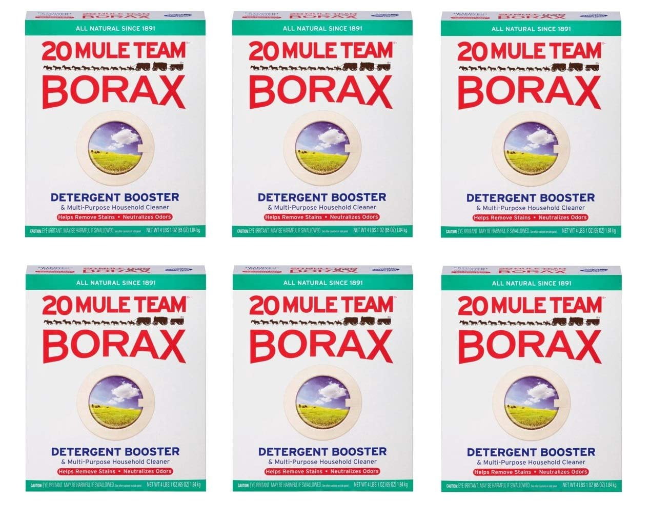 Twenty Mule Team Borax Detergent Booster & MultiPurpose Household