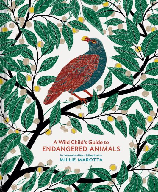 A Wild Child's Guide to Endangered Animals : (Endangered Species Book, Wild  Animal Guide, Books about Animals, Plant and Animal Books, Animal Art  Books) (Hardcover) 