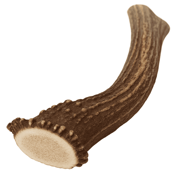 WhiteTail Naturals Large Deer Antler Chews for Dogs