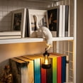 thumbnail image 3 of Cat Bookshelf Lantern, Cat Figurine with LED Shelf Decor, Retro-Style Night Light, for Porches, Patios, and Bookshelves Cat Lovers Night Light Edge White, 3 of 7