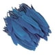 thumbnail image 1 of Inteprter 100 unids/set de plumas naturales de amplia aplicación para manualidades y decoración de muebles Decoración del hogar azul klein, 1 of 6
