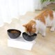 thumbnail image 3 of Cuencos dobles NQ para gatos y perros pequeños, 3 of 5