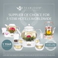thumbnail image 2 of Teabloom 100% Plastic-Free Extra-Large Multi-Brew Borosilicate Glass Teapot + Kettle + Pitcher &ndash; Steep and Serve Hot Tea, Iced Tea, Cold Brew T, 2 of 9