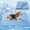Blue, variant on Cooling Pet Mat, Machine Washable Lightweight Ice Silk Dog Cooling Blanket for Summer Heat, Portable Travel Car Crate Mattress Cover