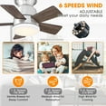 thumbnail image 2 of Parrot Uncle Ceiling Fans with Lights and Remote 52 Inch Ceiling Fan with LED Light for Bedroom Outdoor Ceiling Fans for Patios Covered, Brass, 2 of 8