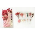 Tahtuvzn Home Decor Clearance! Dried Flowers Material Kit Diy