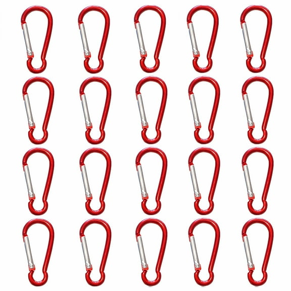 CCOCC 20 Pcs Carabiner Small Climbing Carabiner Clips Carabiner Heavy Duty for Hiking and Climbing Red
