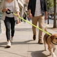 thumbnail image 1 of BotaniNest 1 Medium Or Large Harness Nylon Strong Pull Brown Color, 1 of 4