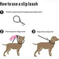 thumbnail image 5 of Dog Leash Rope Durable Pet Strong Training Traffic Walking Lead Leash for Puppy black M, 5 of 5