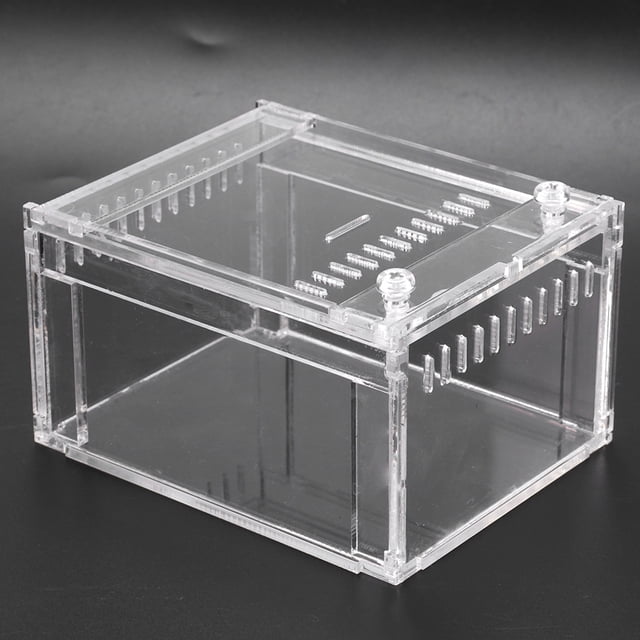 Débardeur Design Anti-Fuite Transparent, Terrarium pour Reptiles, Serpents pour Tortues