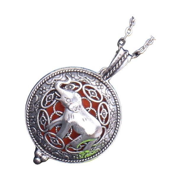 Guardurnaity Collares con difusor de aceite de aleación, colgante para amantes de las flores, joyería para el cuello, medallón hueco de moda, Ropa, zapatos y accesorios Miscelánea Tipo9