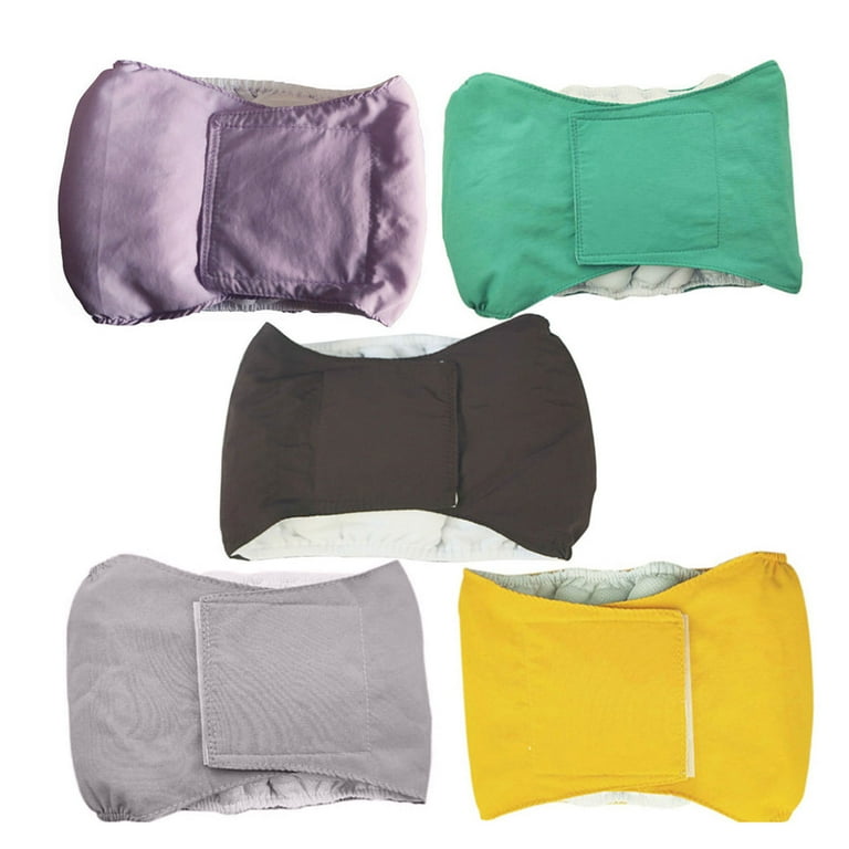 Cat diapers clearance walmart