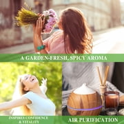 MAYJAM 3.38 FL Oz Basil Essential Oil, Undiluted Aromatherapy Oil for Diffuser Humidifier, Home Care, DIY Candle Soap Making