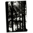 thumbnail image 2 of Gango Home Decor Light and Shadows II by Erin Berzel (Ready to Hang); One 24x36in Hand-Stretched Canvas, 2 of 4