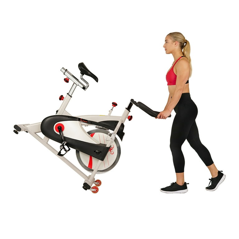 Sunny Health & Fitness 40lb Indoor Cycle Bike, Adult