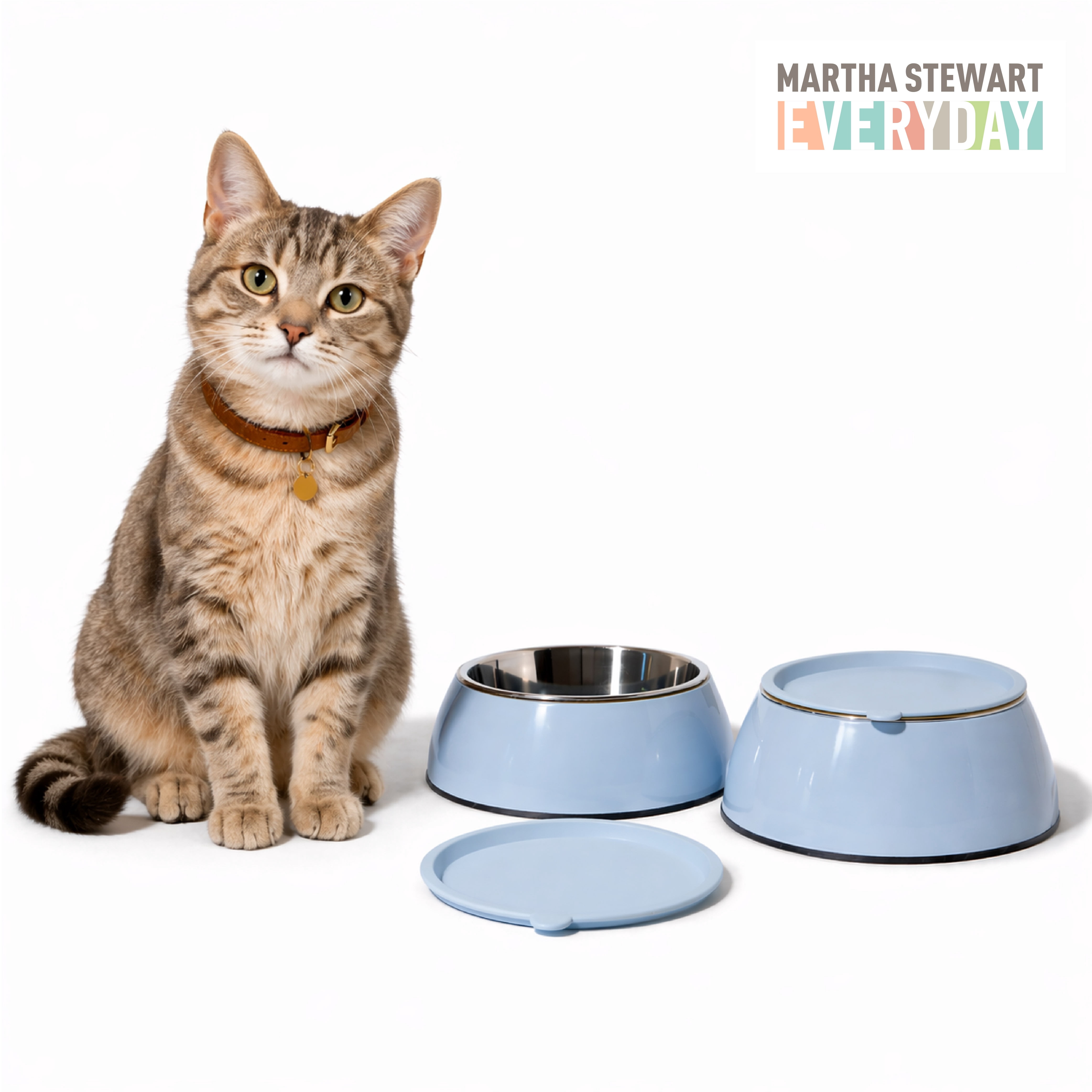 Martha Stewart 3-in-1 Melamine Cat Bowl Set with Lid, Medium Blue, Small/Medium