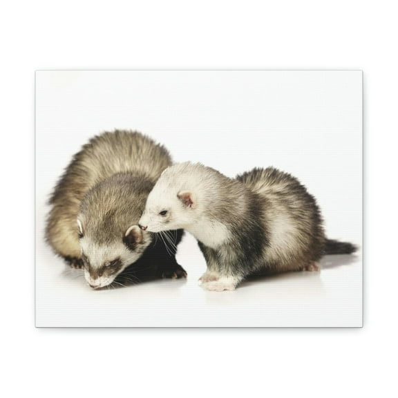 Badger Group Badger Troop Print Animal Wall Art Wildlife Canvas Prints Wall Art Ready to Hang Unframed