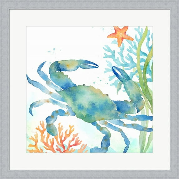 Sea Life Serenade II by Cynthia Coulter, Framed Wall Art, 19.5W x 19.5H