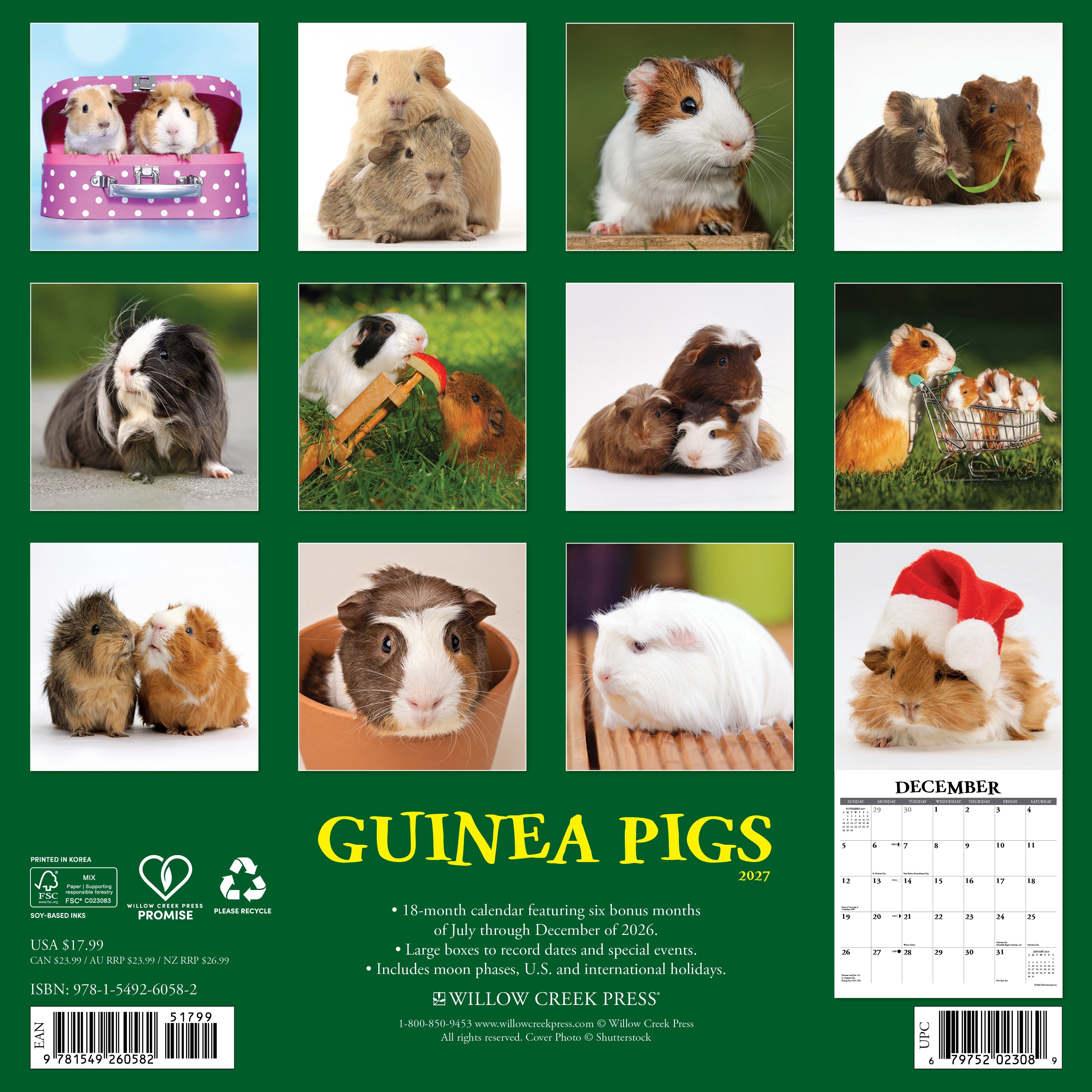 Willow Creek Press, Guinea Pigs 2027 Wall Calendar