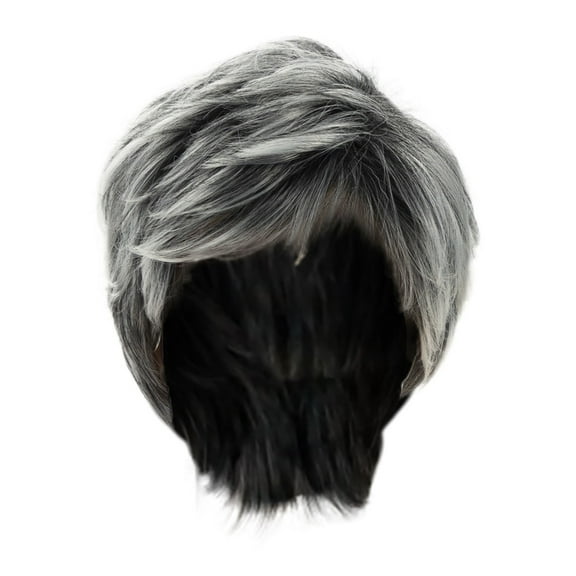 LHWEN Short Mixed Wig Slight Curly Heat Stylish Layered Grayish White Wig for Middle and Elderly Easy to Wear Adjustable Cap Natural Look African Small