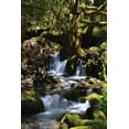 thumbnail image 2 of Moore, Brian 17x24 Gold Ornate Wood Framed with Double Matting Museum Art Print Titled - Falls in the Forest I, 2 of 4