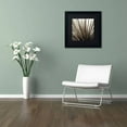 thumbnail image 3 of Trademark Fine Art "Florison 48" Canvas Art by Alan Blaustein, Black Matte, Black Frame, 3 of 4