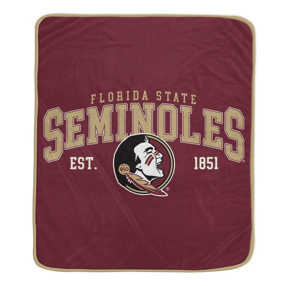 50x60 inch Vintage Arch Royal Plush Throw