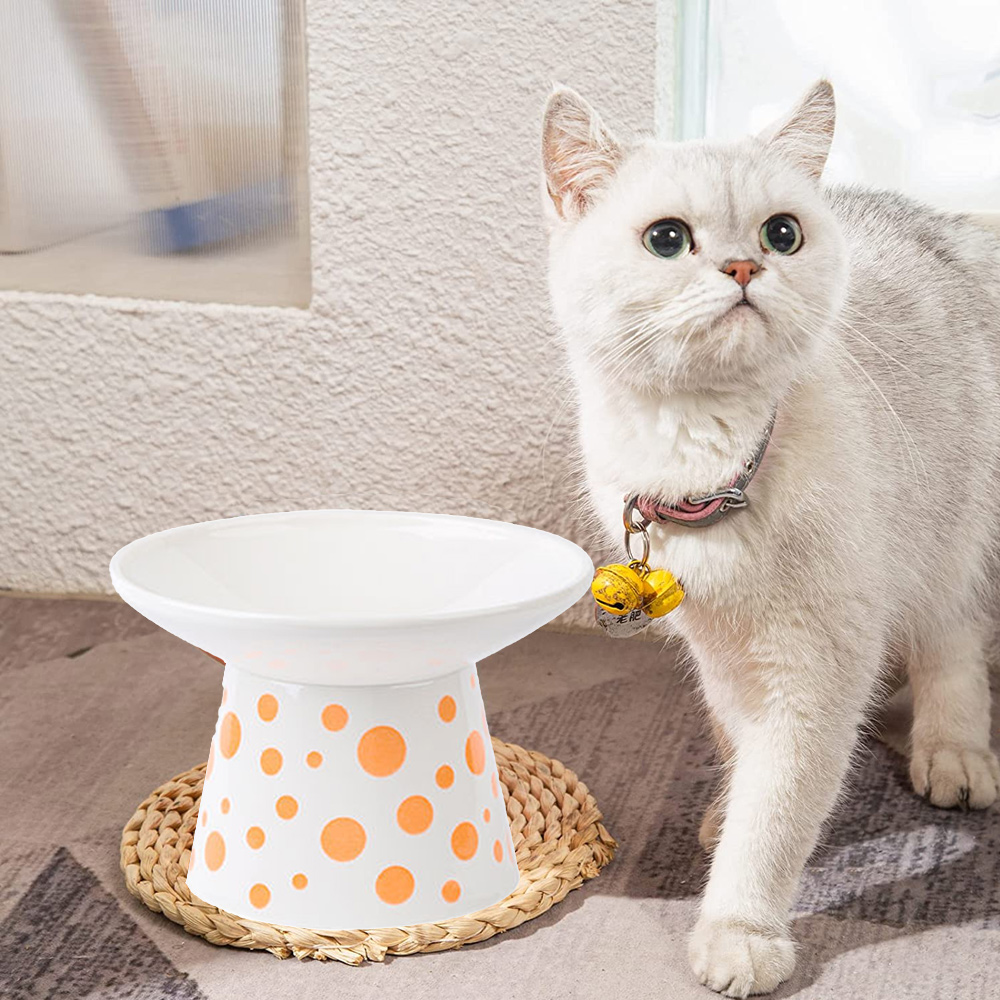 Extra Wide Ceramic Elevated Cat Bowl Whisker Friendly Raised Cat