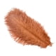 thumbnail image 3 of 10 piezas/lote de plumas de avestruz naturales de color rosa rojo para manualidades, decoración de bodas, fiestas, accesorios, centro de mesa, carnaval, 3 of 5