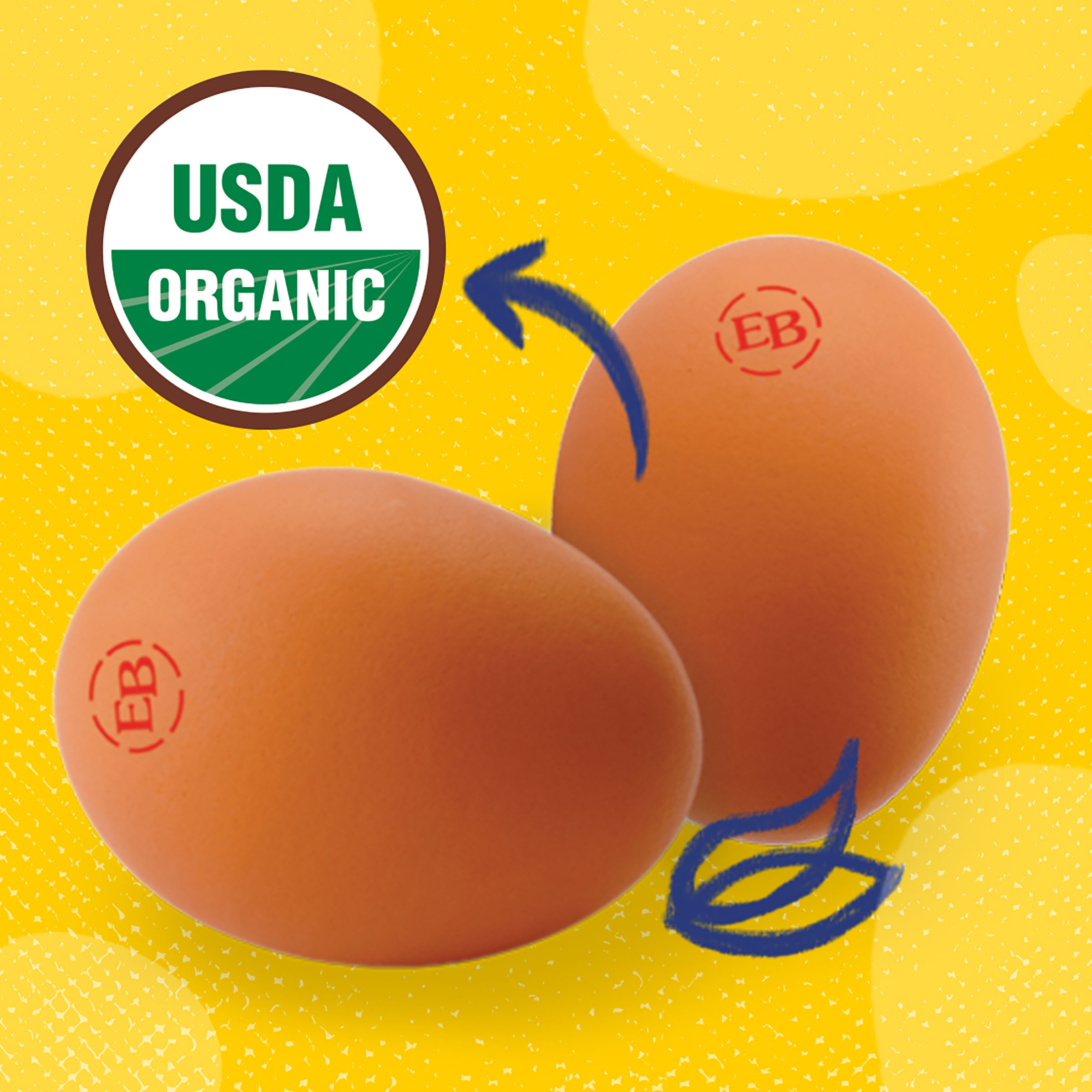 Eggland's Best 100% USDA Organic Certified Large Brown Eggs, 12 count - image 4 of 16