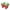 Red, variant on Herrnalise Watermelon Ice Popsicle Molds 4 pieces Reusable Ice Pop Maker Popsicles Holder for Freezer Homemade Ice Cream Pops Mold Make Popsicles with Yogurt Juice or Smoothies