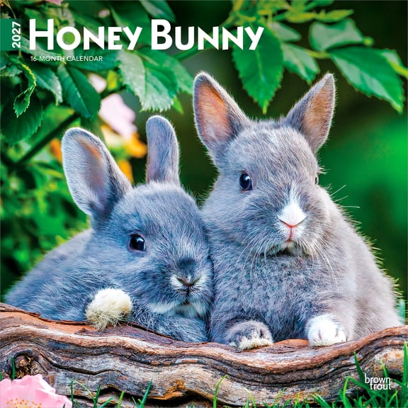 Honey Bunny | 2027 12x24" (Hanging) Wall Calendar | Plastic-Free | BrownTrout