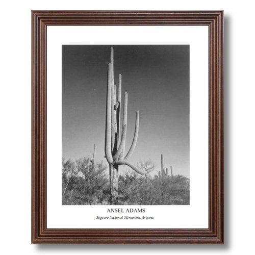 Ansel Adams B//W Photo Snow Covered Apple Orchard Wall Picture 8x10 Art Print