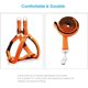 thumbnail image 3 of Arnés para Perros Correa para Perros Duradera Collar para Perros Resistente Y Ajustable Arnés para Correa para Perros Antitorsión para Perros Pequeños, Medianos Y Grandes, Perfecto para Caminar,, 3 of 8