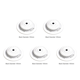thumbnail image 1 of Terrario Plantas Vidrio Escritorio Con Florero Micropaisaje Crecimiento (S) Blanco, 1 of 5