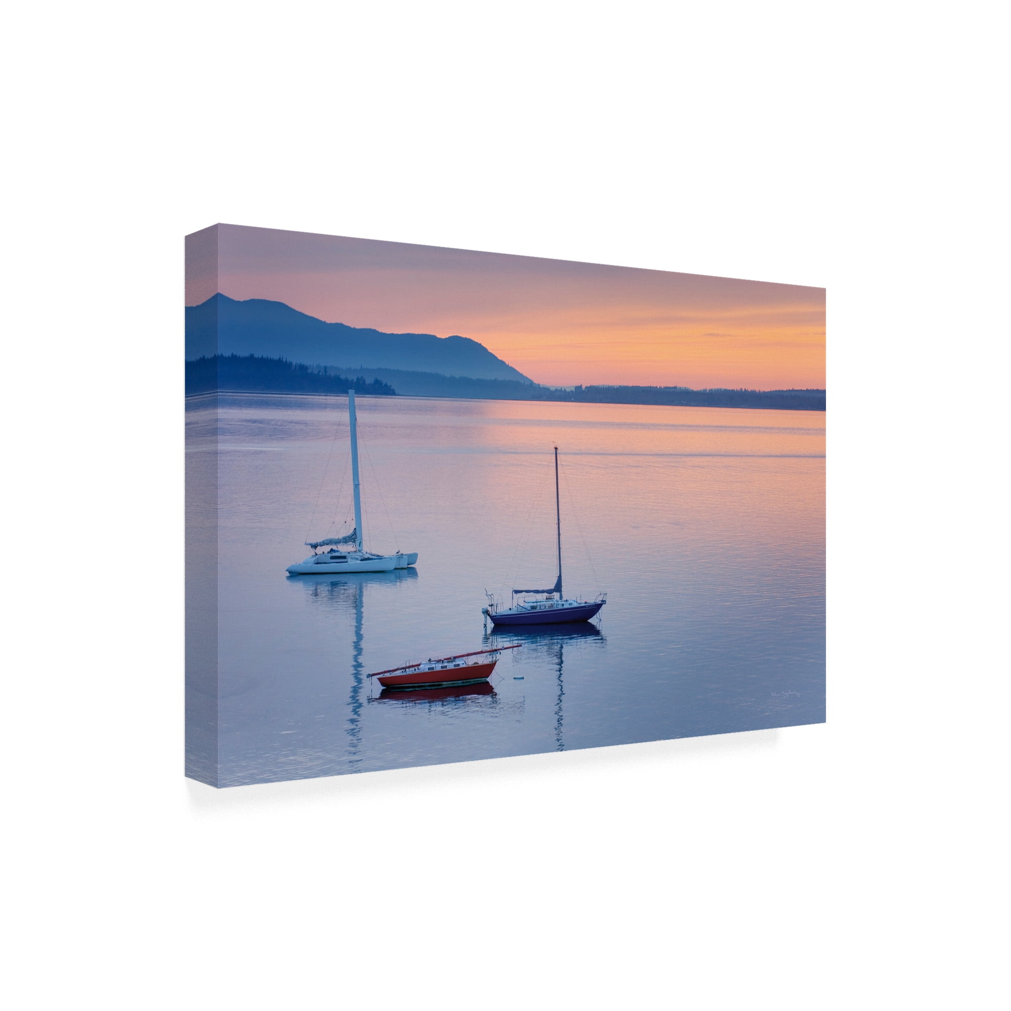 Trademark Fine Art 'Bellingham Bay' Canvas Art by Alan Majchrowicz