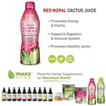 Organic Nopal Cactus Juice, Prickly Pear Juice – Antioxidant Super ...