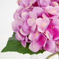 thumbnail image 3 of Hortensia Hollyone con flores artificiales con jarrón de cristal, color rosa, 3 of 7