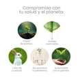 thumbnail image 3 of Dr. Natural Jab&oacute;n L&iacute;quido para Cuerpo Body Wash | Natural, Vegano, Org&aacute;nico, Sin Sulfatos y Parabenos, Hidratante | Hecho de Plantas con Aceite de Oliva, Coco y Palma,, 3 of 7