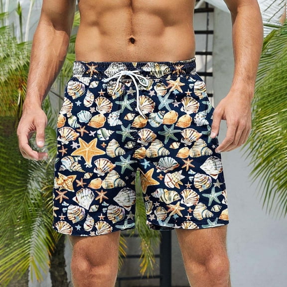 Ceisia Men's 4-Way Stretch Quick-Drying Breathable Loose Fit Solid Color Beach Shorts Swim Trunks Multicolor Gifts for Father 5X