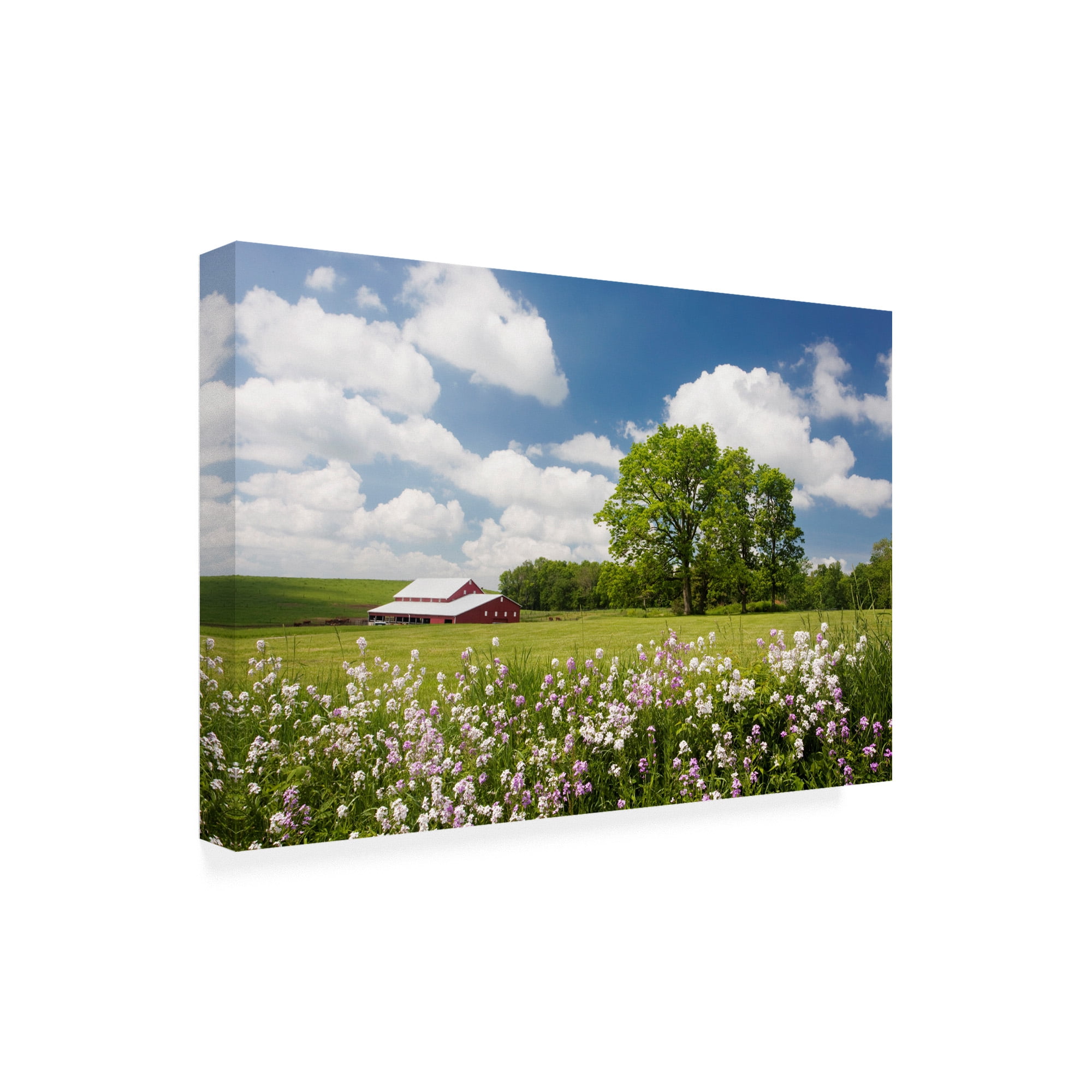Trademark Fine Art 'Flowers And Farm Holmes County Ohio' Canvas Art by Monte Nagler