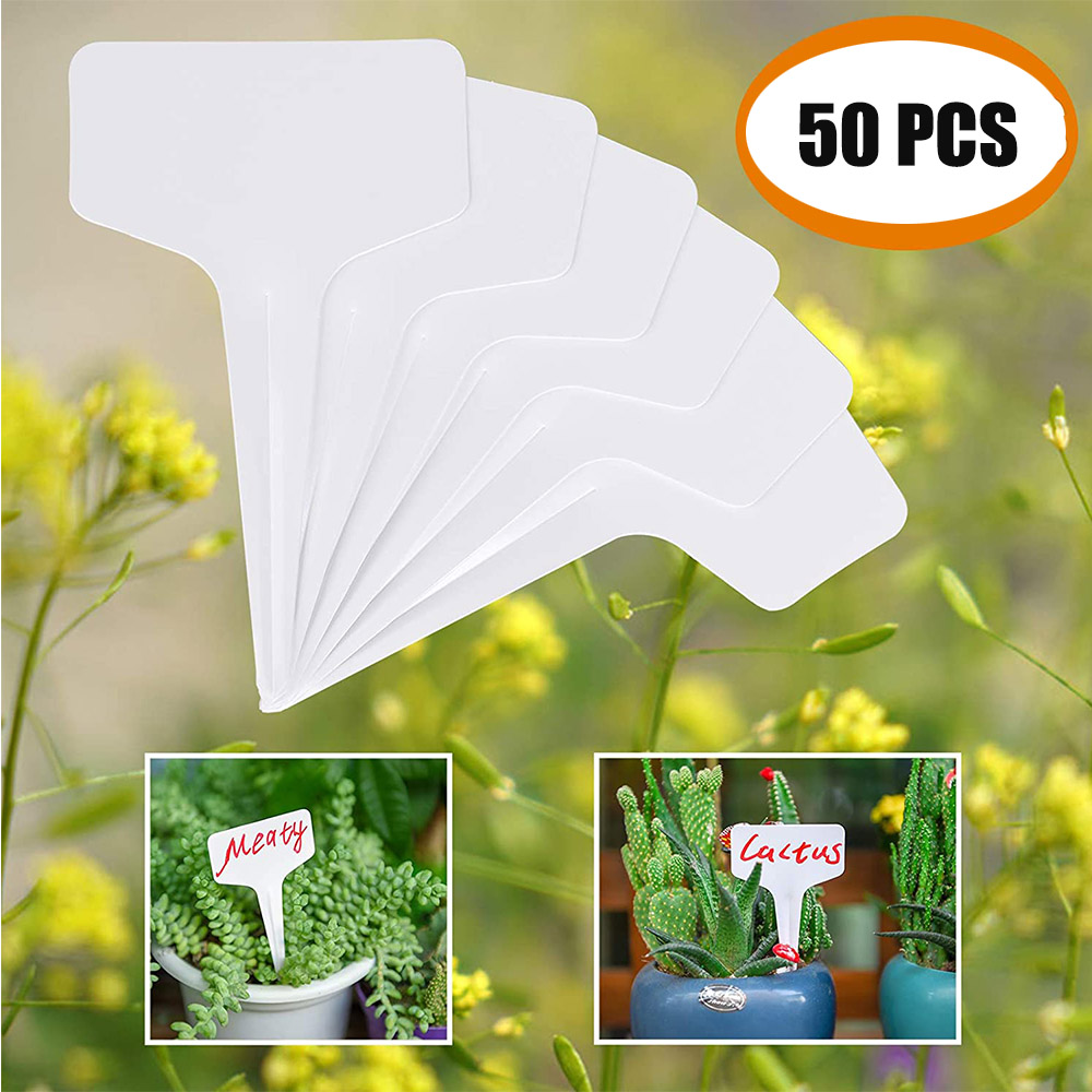 Jelly Comb 50 Pcs Durable PP Material 1mm Thick Plant Labels Reusable  Waterproof T-Shape Tags Plants Flower Seed Starter Markers Garden Plants  Labels ...