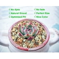 5Lb Bonsai Succulent and Cactus Soil Gritty Mix Rocks Gravel for