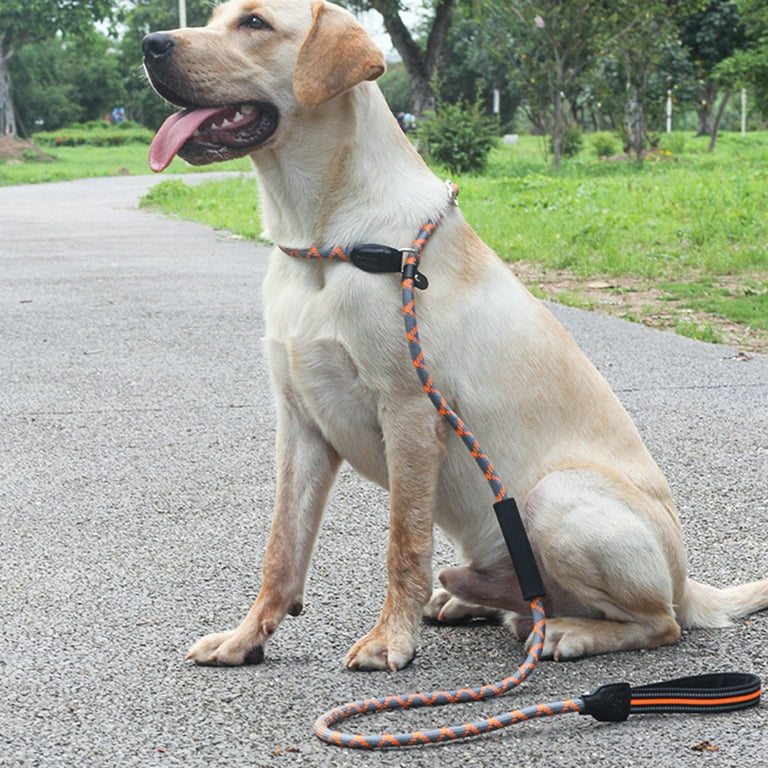 Best Dog Leashes For Pullers WAF, 53 OFF