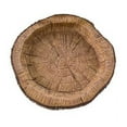 thumbnail image 6 of Plow & Hearth Resin Raccoon Birdbath, 6 of 6