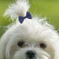 thumbnail image 4 of IFANLANDOR 20Ud Ligas De Caucho Para Mascotas Con Multicolor Para Perros Y, 4 of 7