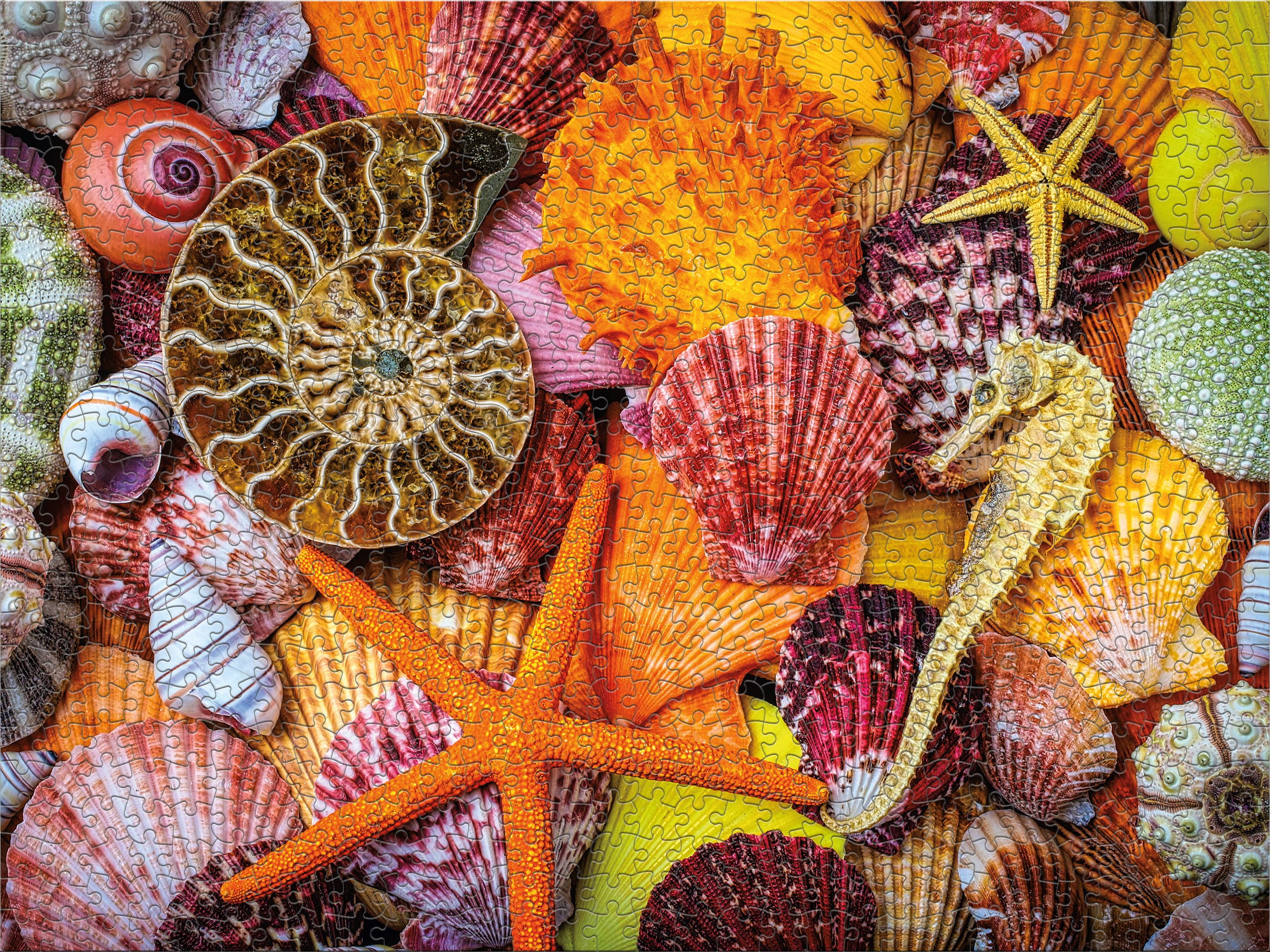 Ceaco Starfish and Shells Sensory (Garry Gay) 750 Piece