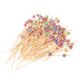 thumbnail image 1 of FELTECHELECTR 100 palillos desechables hechos a mano para cócteles, palillos creativos de bambú para aperitivos, palillos de madera para frutas, decoración de fútbol, suministros para fiestas., 1 of 7