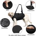thumbnail image 2 of Arnés De Elevación Vevor Para Perros Soporte Y Rehabilitación Ajustable Transpirable, 2 of 5